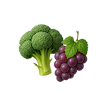 میوه و سبزیجات