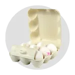 تخم مرغ و ماکیان