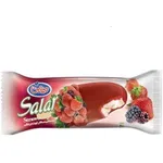 بستنی میهن سالار 90 گرمی