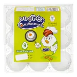 تخم مرغ بهارآوران 9 عددی