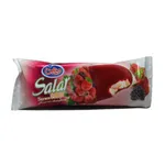 بستنی میهن سالار 90 گرم