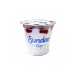 بستنی لیوانی ساندی کاپ وانیل میهن