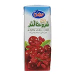 نکتار زرشک آلبالو 200 سی سی فروت لند