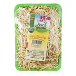 جوانه ماش توتیا 300گرم