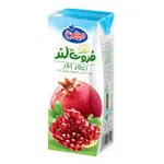 نکتار انار فروت لند  200 سی سی 