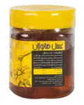 عسل پت هانولان 500 گرم 