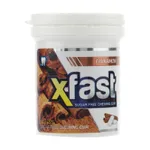 آدامس با طعم دارچین قوطی اکس فست 24 گرمی