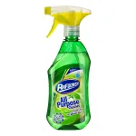 اسپری چند منظوره رافونه 500 گرم 