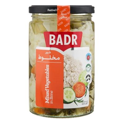 شور مخلوط بدر 630 گرم