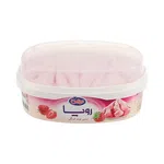 بستنی  رویا توت فرنگی490گرم میهن