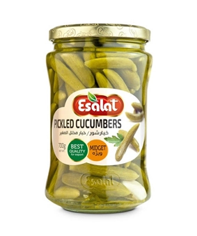 خیارشور اصالت ویژه 680 گرم