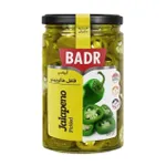 ترشی فلفل هالوپینو سبز بدر 600 گرم