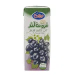 آبمیوه  انگور قرمز200 سی سی فروتلند میهن