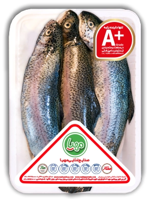 ماهی قزل تازه مهیا 800 گرم 