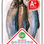 ماهی قزل تازه مهیا 800 گرم 