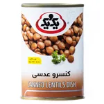 کنسرو عدسی یک و یک 430 گرمی