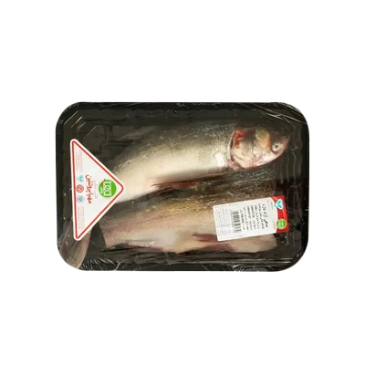 ماهی آزاد شکم خالی تازه مهیا 1 کیلوگرم