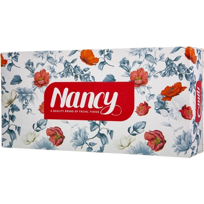 دستمال جعبه ای دولایه روشنا نانسی 100 برگ 