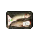 ماهی آزاد شکم خالی تازه مهیا 1 کیلوگرم