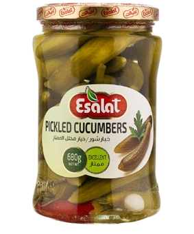 خیارشور اصالت ممتاز 680 گرم