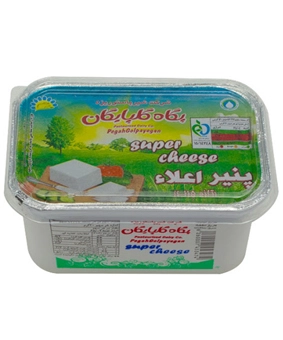 پنیر اعلاء پگاه گلپایگان  400 گرم