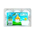 تخم مرغ ارگ طلایی 6 عددی